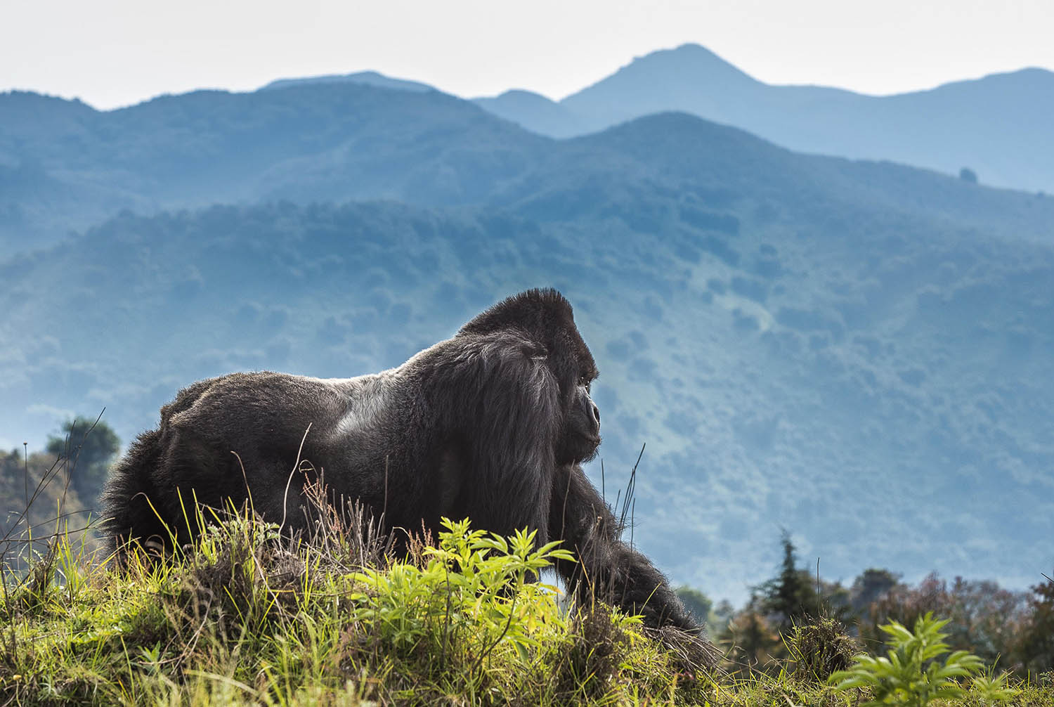 Queen Elizabeth National Park