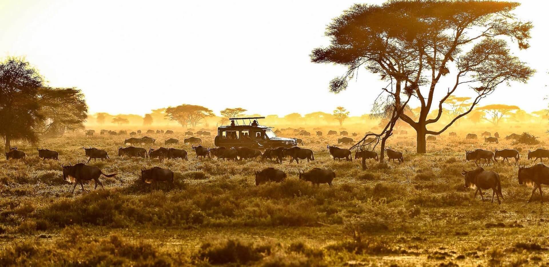 Great Migration