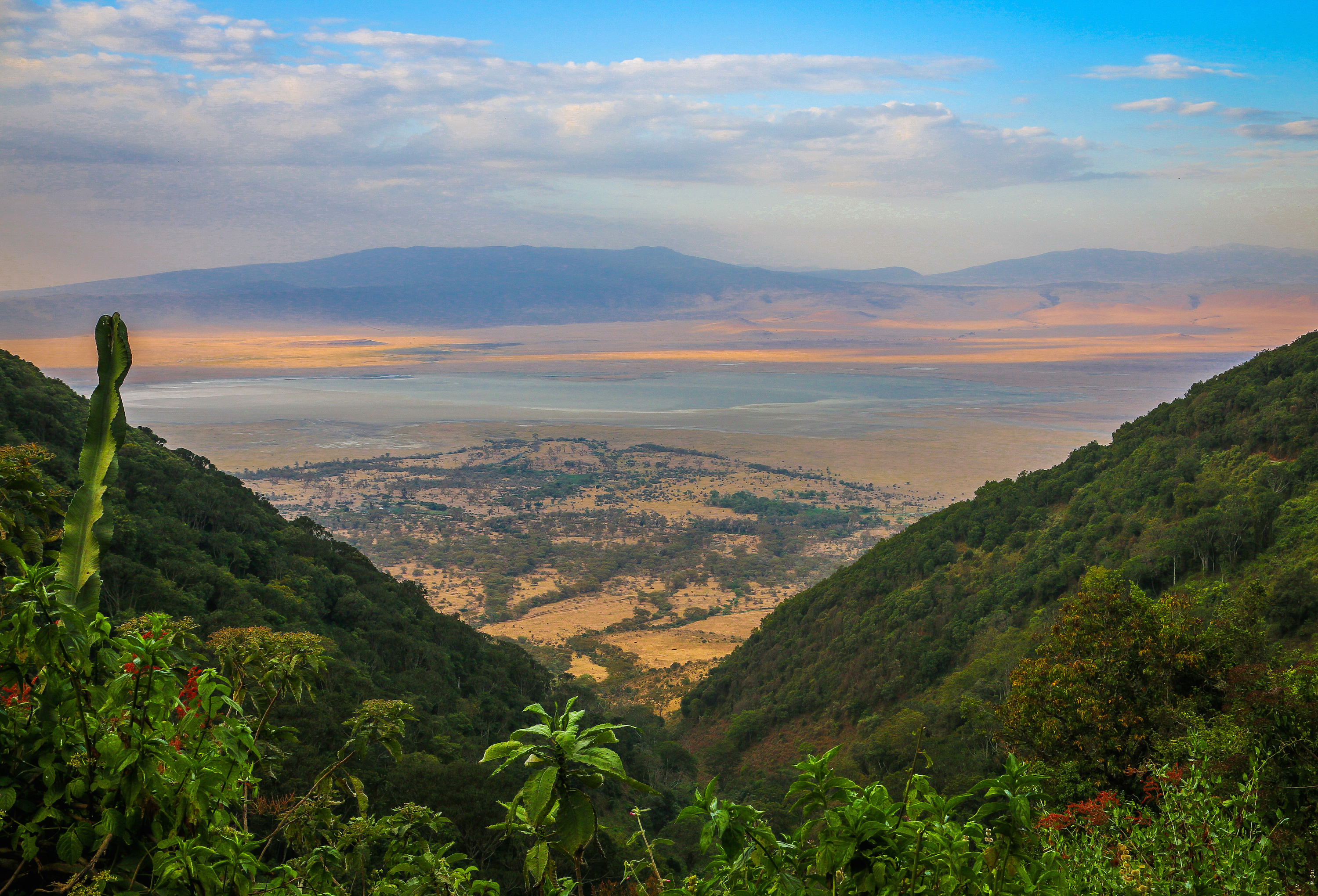 Ngorongoro Crater