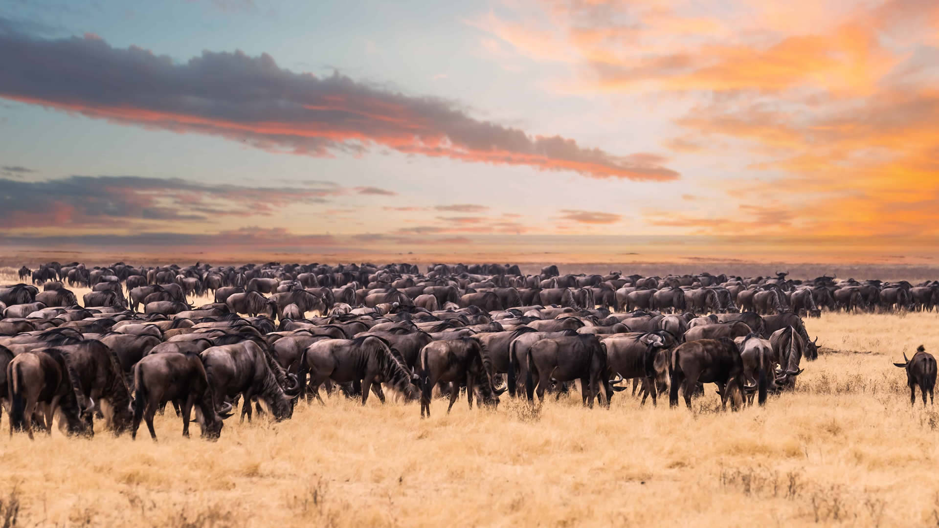 Serengeti National Park